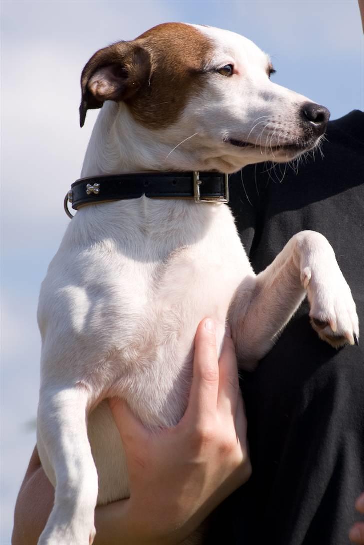 Blanding af racer <3 <3 Kejser <3 <3 - *Sep. 09* billede 4