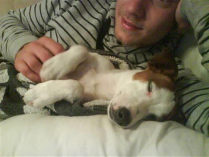 Blanding af racer <3 <3 Kejser <3 <3 - Ligger og putter efter bad......  billede 8