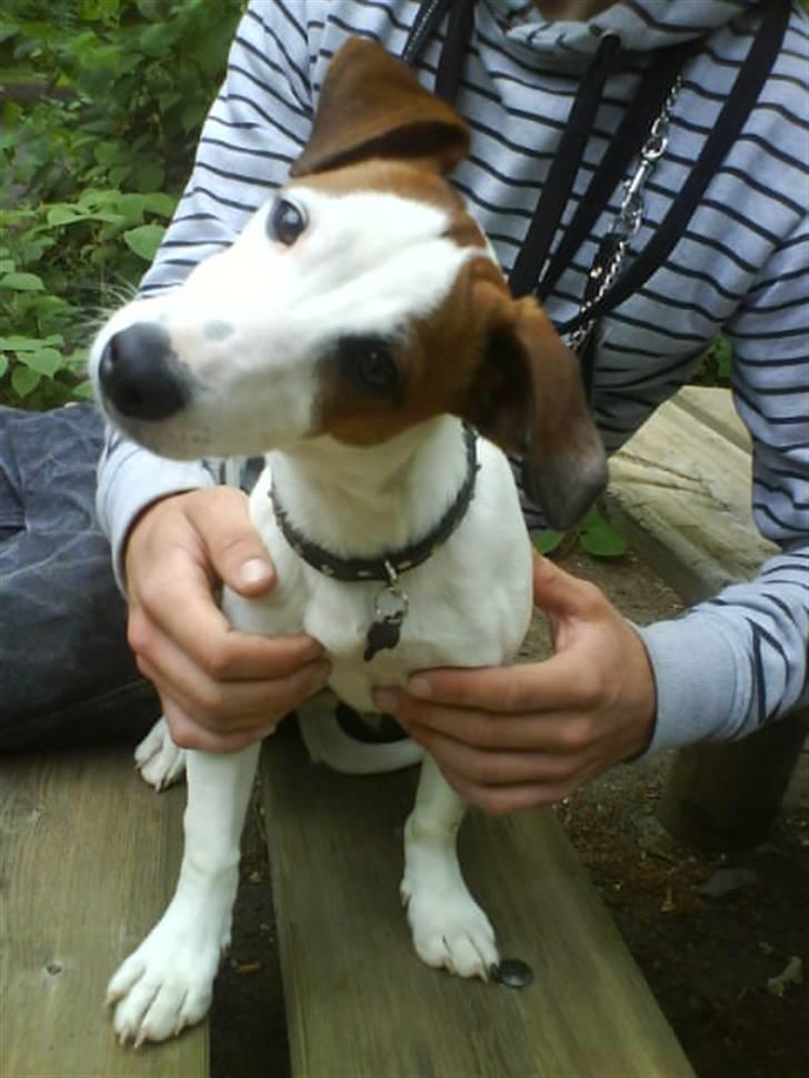 Blanding af racer <3 <3 Kejser <3 <3 - Hov, hva var det for en lyd du sagde moar........ ?? billede 15