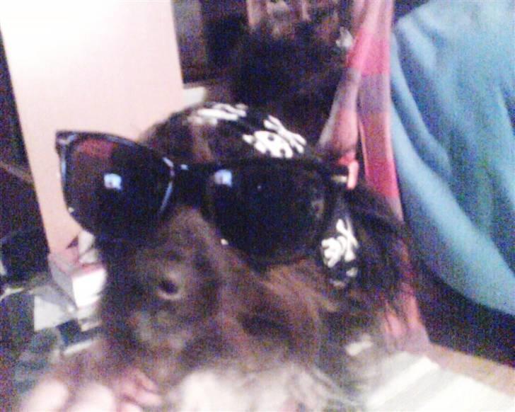 Blanding af racer Sweaty - Ser jeg lækker ud i de her? billede 11