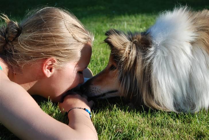 Collie langhåret Nella R.I.P. - Nella og jeg // foto: Sigrid billede 3