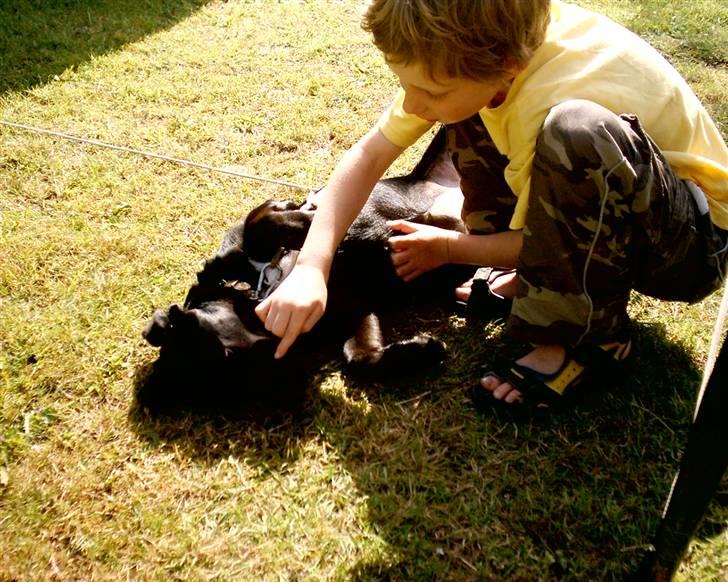 Blanding af racer Zisca - Så er det nussetid.. billede 16