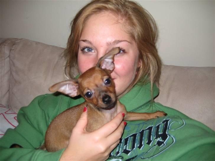 Prazsky krysarik Mingus - Mingus og hans mor får endelig taget et godt billede sammen... billede 4