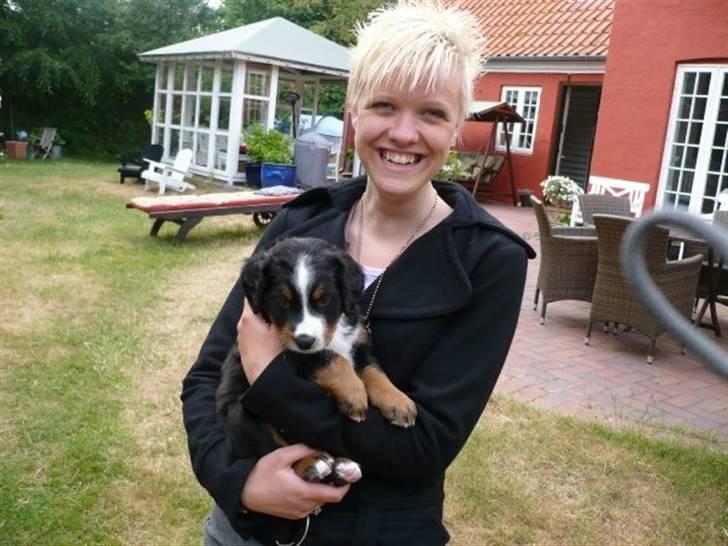 Berner sennenhund Titus - Mig og min dejlige Titus ! billede 6