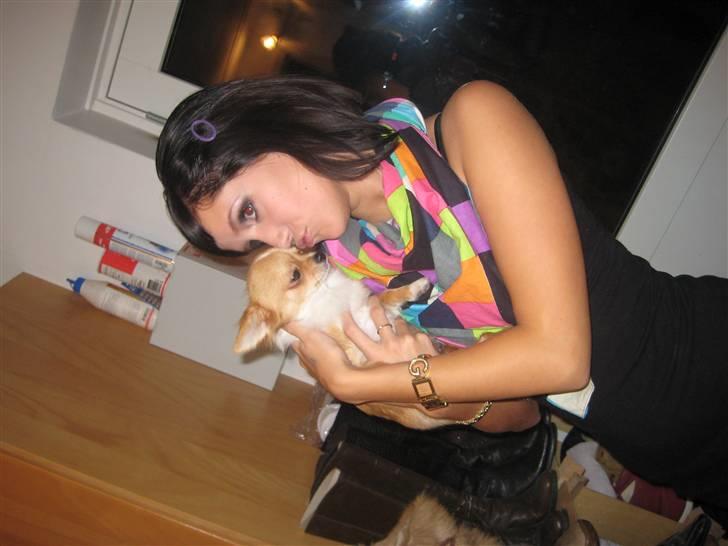 Chihuahua Chiquita <3 - <3 billede 15