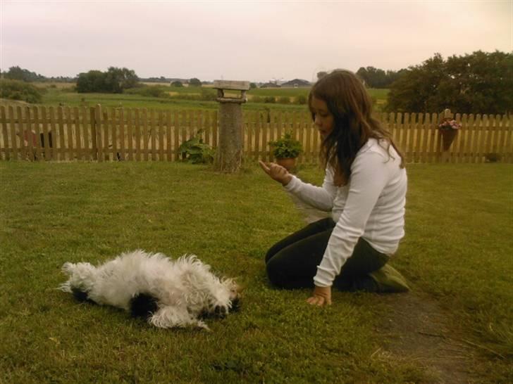 Blanding af racer Luna - Luna d 11-7 træning  Trick: Rulle rundt billede 19