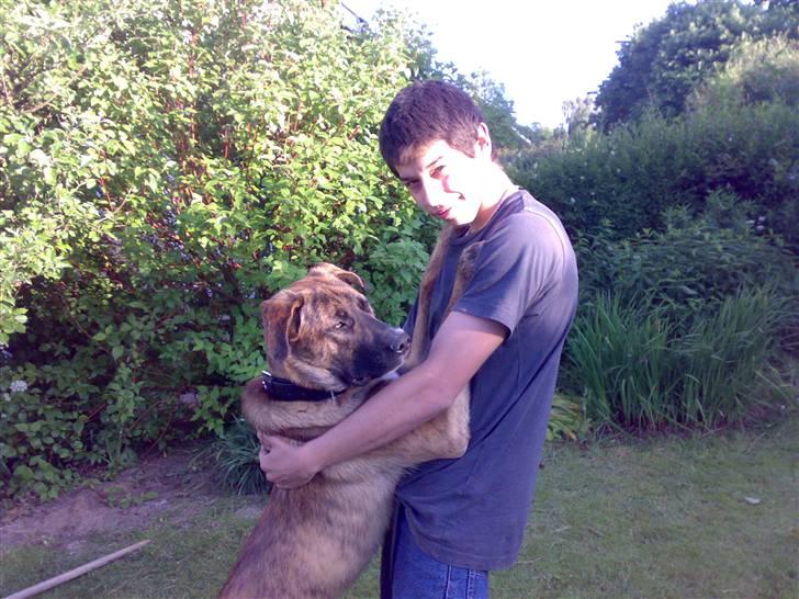 Blanding af racer Sofus - min far billede 9