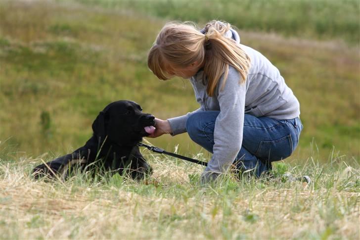 Labrador retriever Benjos black Chivas - Chivas og jeg :) billede 8