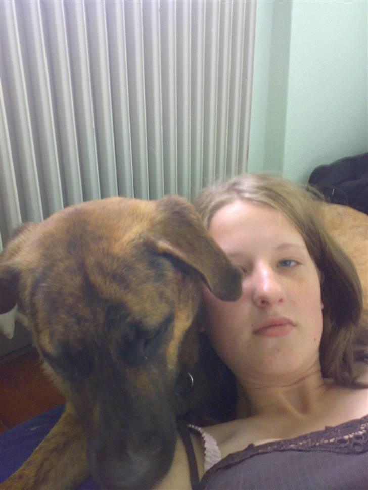 Blanding af racer Sofus - elsker min mor.. billede 20