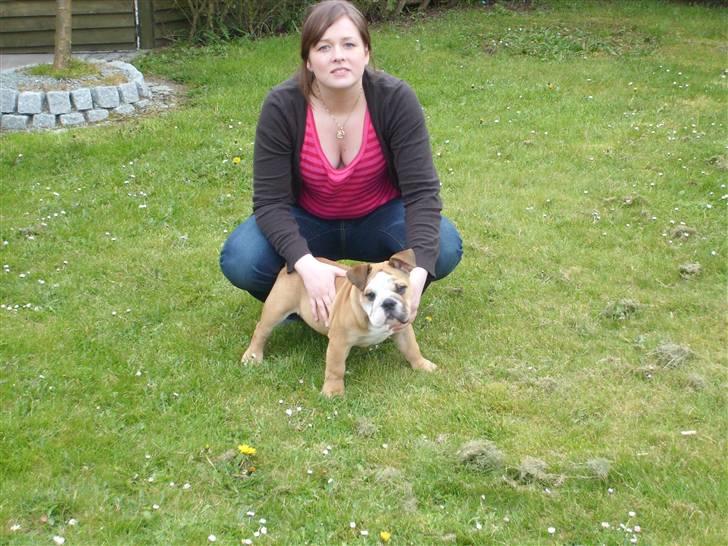 Engelsk bulldog manfred - manfred og jeg da han var en lille baby billede 1