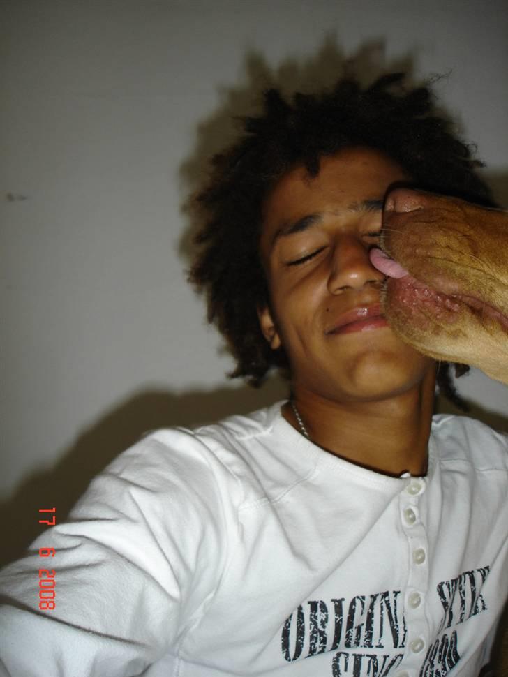 Labrador retriever Sebastian "RIP" 2006-2019 billede 10