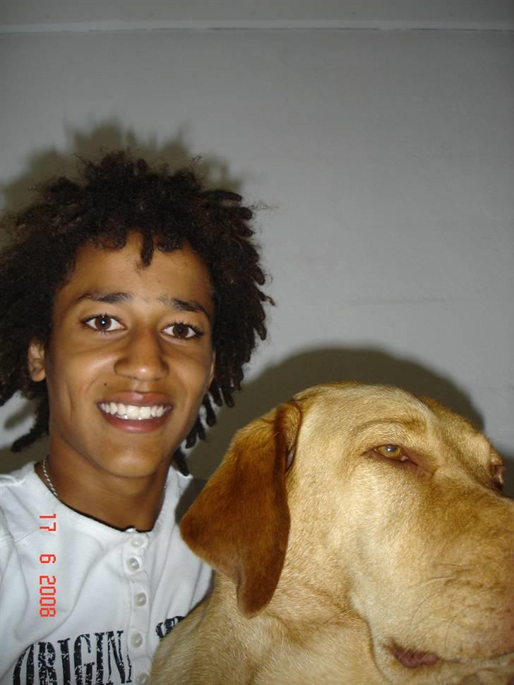 Labrador retriever Sebastian "RIP" 2006-2019 billede 11