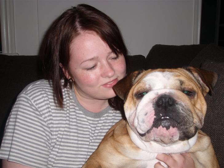 Engelsk bulldog manfred - manfred og mig  billede 7