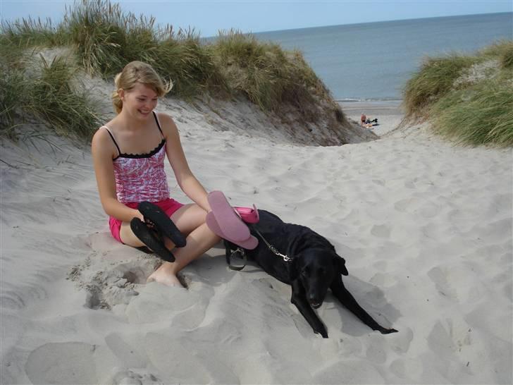 Labrador retriever Futte <3 - mig og futte <3 billede 3