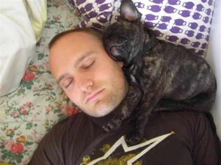 Blanding af racer Magnus billede 8