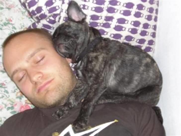 Blanding af racer Magnus billede 9