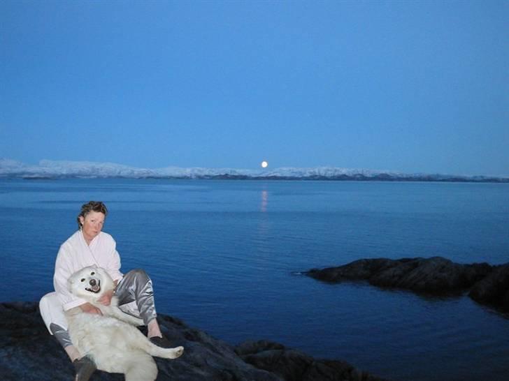 Samojedhund Taiga Himmelhund - Mia har lavet dette flotte billede af Taiga og mig i det smukke landskab, hvor solen aldrig går ned.  billede 7