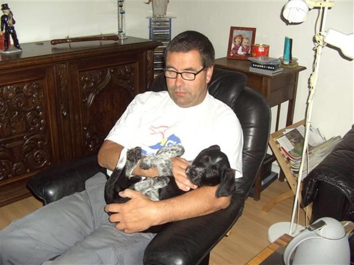 Blanding af racer Konrad - Fars hund !! billede 3