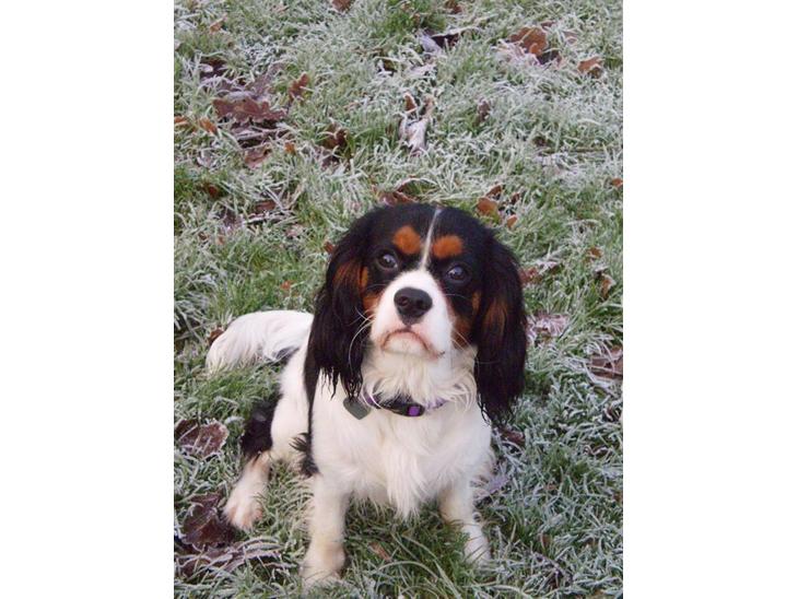 {{currentPhoto.altText}} billede {{currentPhoto.number}}