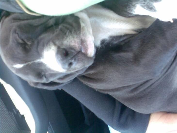 {{currentPhoto.altText}} billede {{currentPhoto.number}}