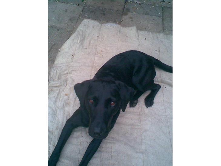 {{currentPhoto.altText}} billede {{currentPhoto.number}}