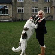 Borzoi Oluf (Olle)