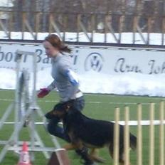 Blanding af racer Tander