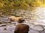Labrador retriever Drumbeat Bossa Nova  - Min dygtige aporter!
