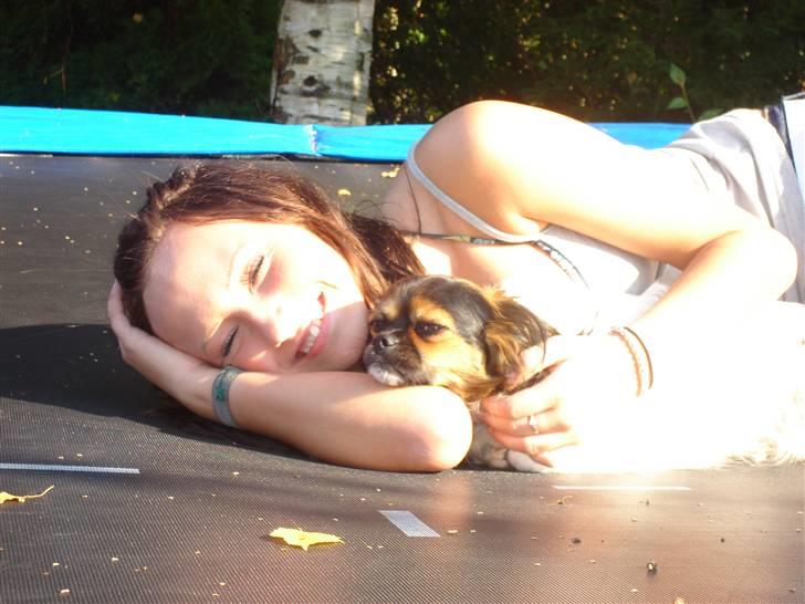 Blanding af racer Trille billede 2