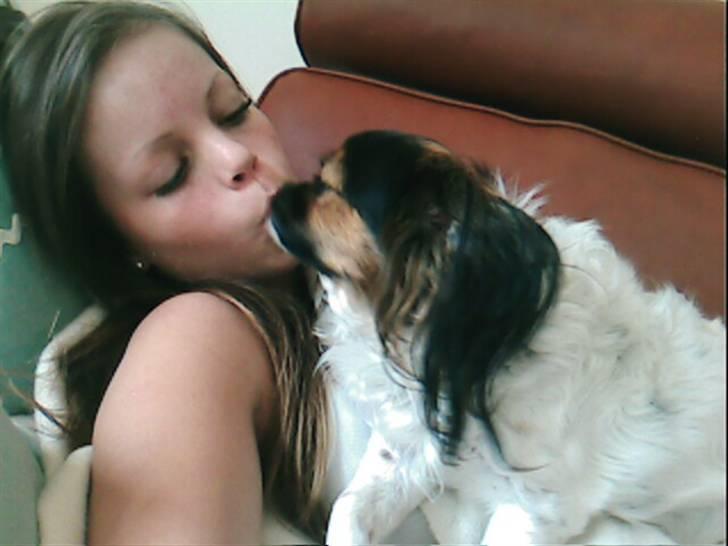 Blanding af racer Trille billede 4