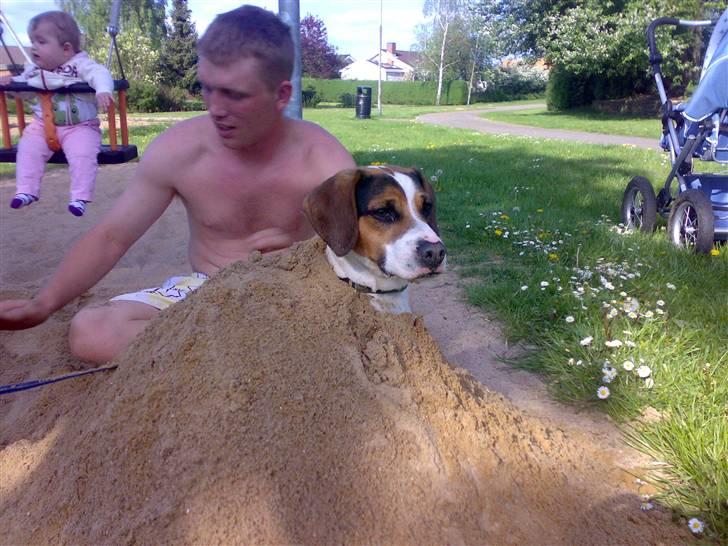 Blanding af racer skipper billede 13