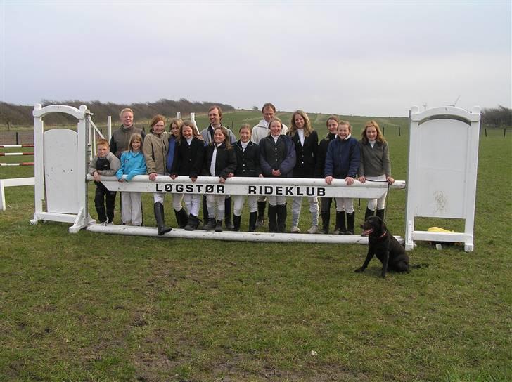 Labrador retriever Bella<3 skath - bella er med til alt!<3 billede 9