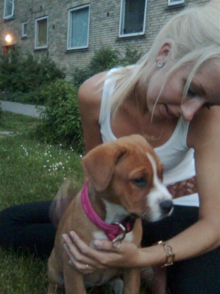 Blanding af racer Lotus  *RIP* billede 5