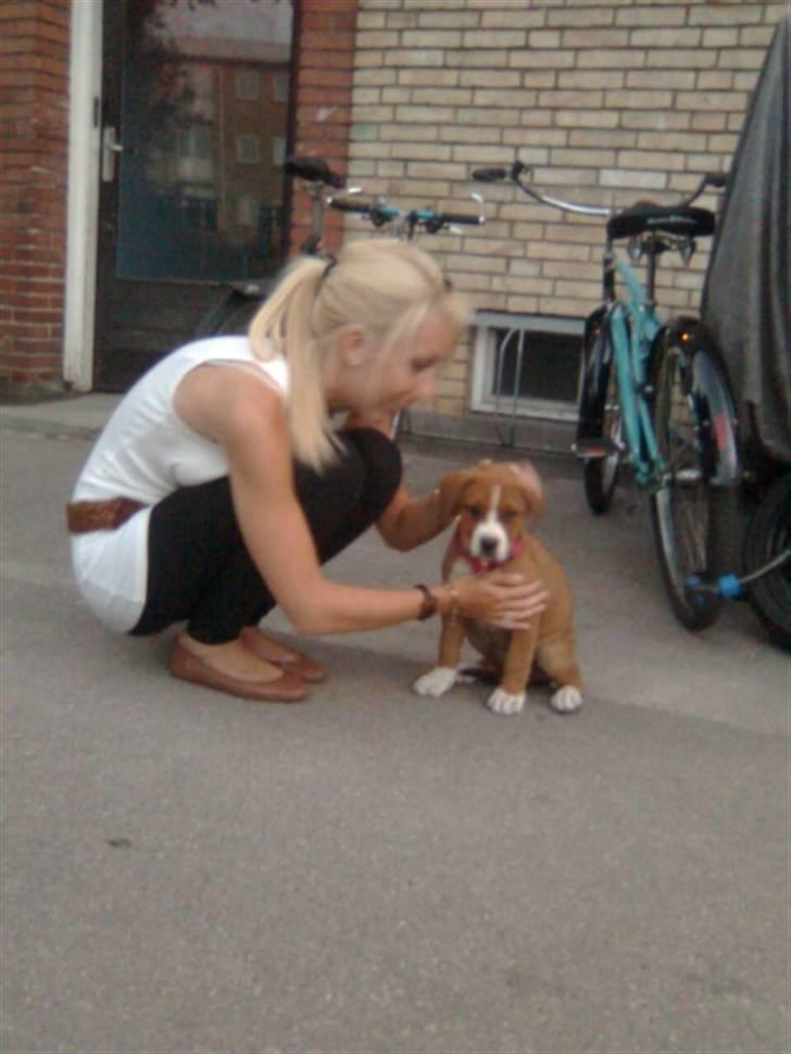 Blanding af racer Lotus  *RIP* billede 7