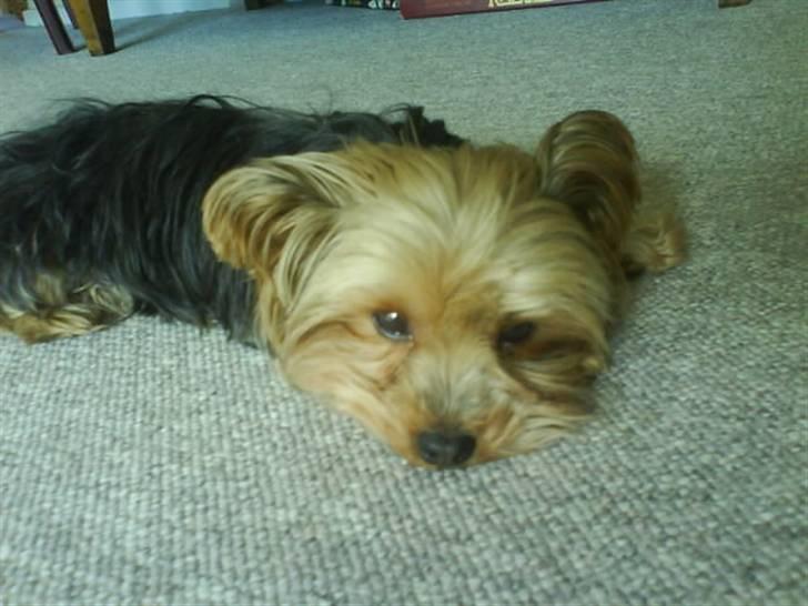 Blanding af racer Boby - Nuuuhhhe <3 ! ;P billede 10