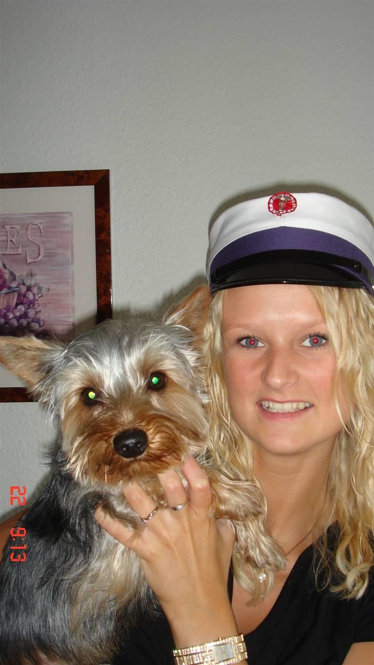 Yorkshire terrier Victor - Min mor nr 2, jeg elsker hende , hun går altid tid ture/leger med mig. billede 3