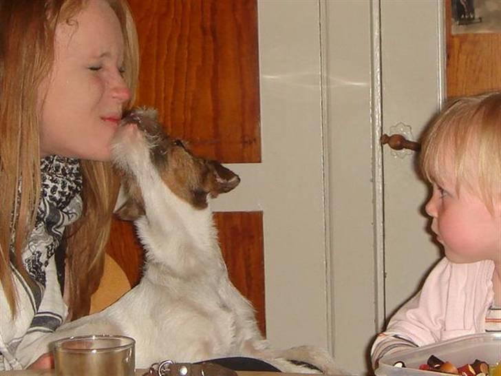 Parson russell terrier » Haldumlunds † Cassi † « - Min moar får lige et stort mys af mig imens michelle kigger på. hiihih billede 14
