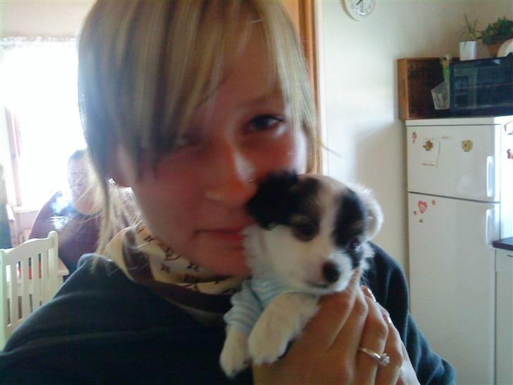 Blanding af racer Gizmo - første gang jeg så Gizmo . <3 billede 7