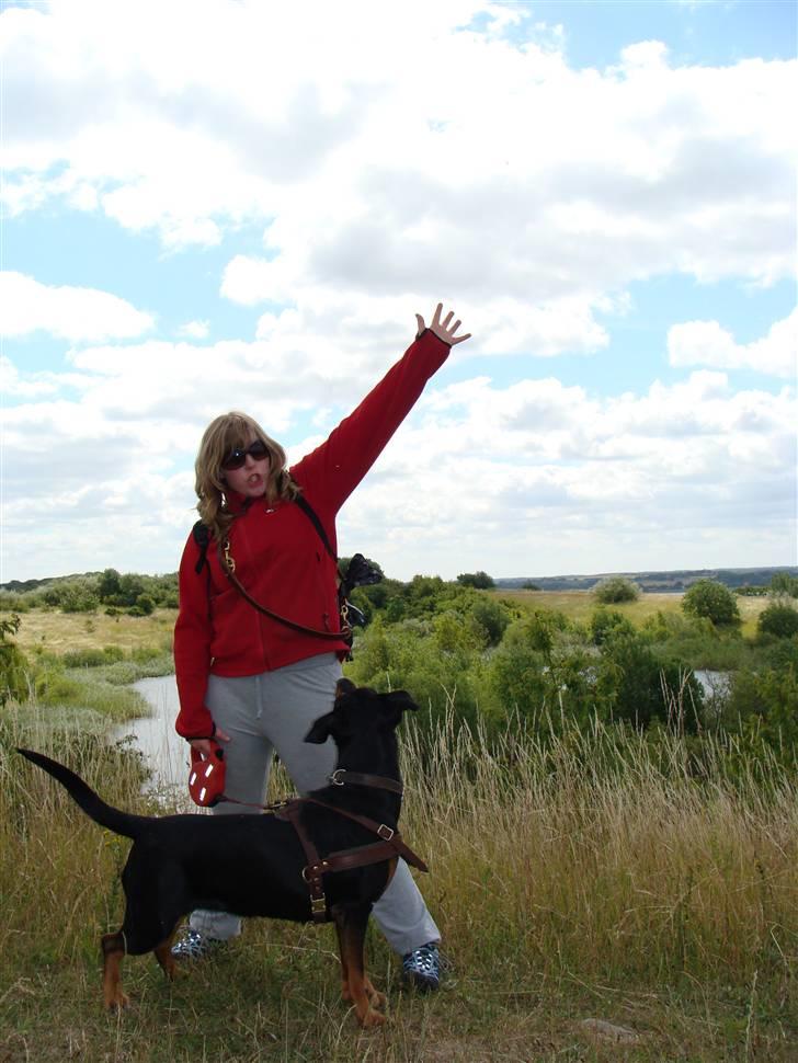 Blanding af racer Toffi billede 20