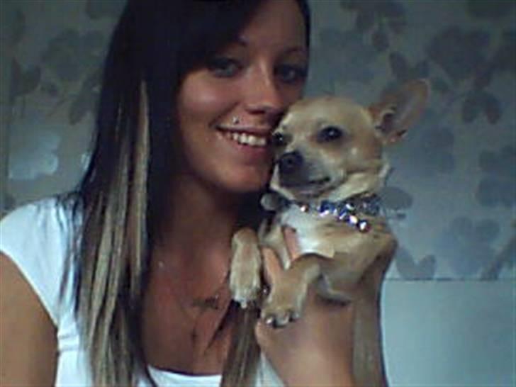 Chihuahua Tonser *HIMMELHUND* - Tonser og mor..  billede 13