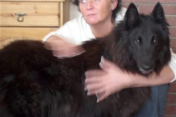 Groenendael Victor Macy V. Lana's Hof billede 5