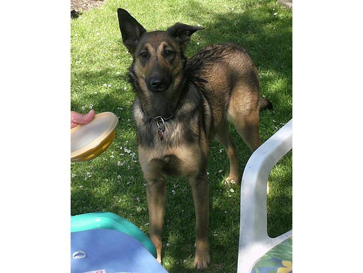 {{currentPhoto.altText}} billede {{currentPhoto.number}}