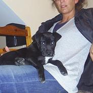 Blanding af racer Tyson