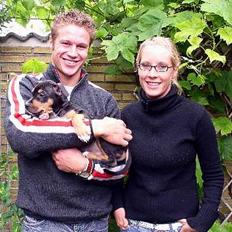 Amerikansk staffordshire terrier TAZ HOLM DANMARK