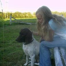 Gammel dansk hønsehund - Fie