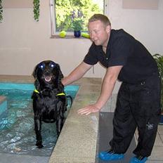 Labrador retriever Scully -  R.I.P