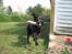 Blanding af racer Trunte (2002-2015) - 28. april 2007