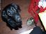 Flat coated retriever Baloo - Tigger.... OS????? Neeeeej da... :-)