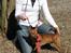 Dvaergpinscher Exigor's Enzo in Red - Nybakad Svensk Utställninschampion i Västerås