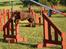 Australsk kelpie Andy (Born To Work Andy) - agility 2004